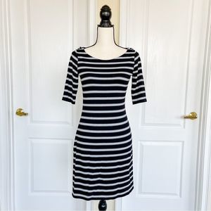 White House Black Market WHBM XXS Blue Black Striped Half Length Sleeves Dress